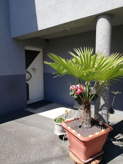 Appartement Agreable Haguenau Kültér fotó